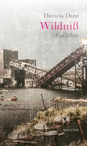 Wildniß: Gedichte