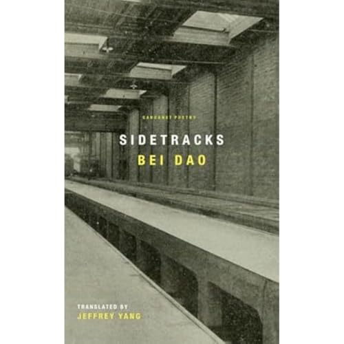 Sidetracks von Carcanet Poetry
