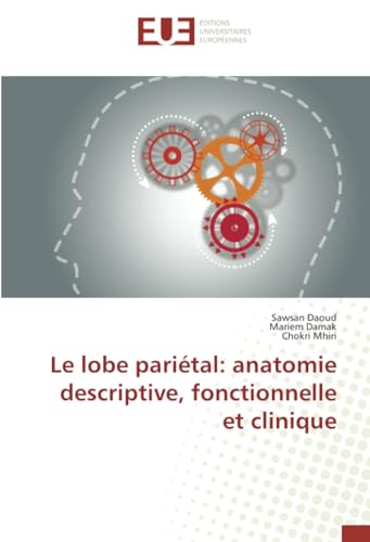 Le lobe pariétal: anatomie descriptive, fonctionnelle et clinique von Éditions universitaires européennes