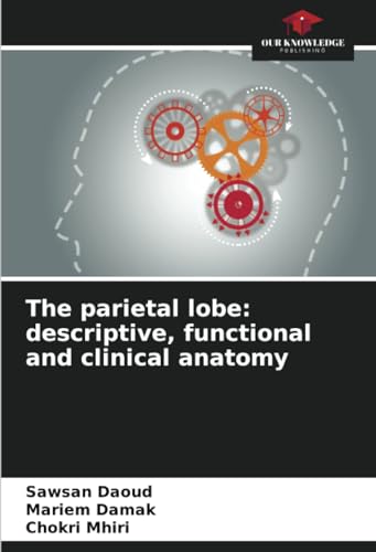 The parietal lobe: descriptive, functional and clinical anatomy von Our Knowledge Publishing