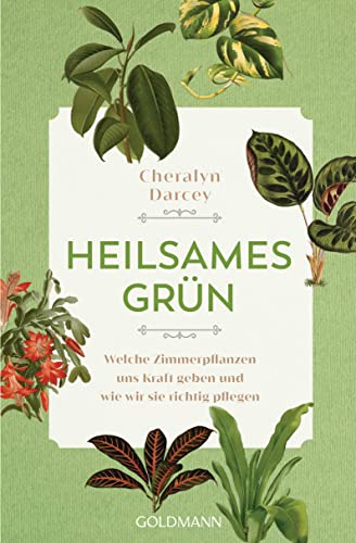 Heilsames Grün: Welche Zimmerpflanzen uns Kraft geben und wie wir sie richtig pflegen von Goldmann