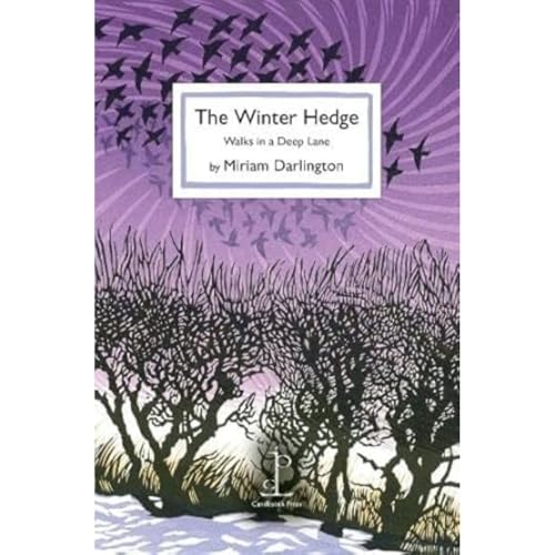 The Winter Hedge: Walks in a Deep Lane