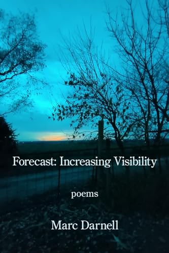 Forecast: Increasing Visibility von Kelsay Books
