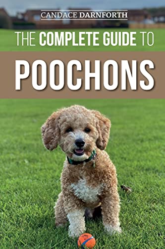 The Complete Guide to Poochons: Choosing, Training, Feeding, Socializing, and Loving Your New Poochon (Bichon Poo) Puppy von LP Media Inc