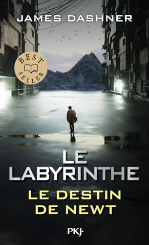 Le Labyrinthe : Le destin de Newt von POCKET JEUNESSE