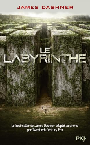 Le Labyrinthe 3. L'épreuve: Roman von POCKET JEUNESSE