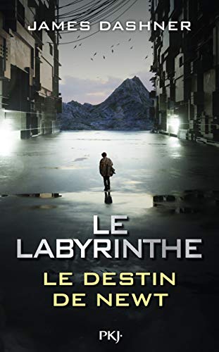 Avant Le Labyrinthe: Le Destin de Newt von Pocket Books