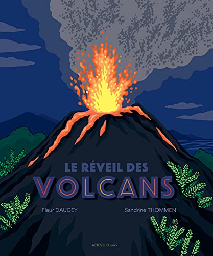 Le réveil des volcans von ACTES SUD
