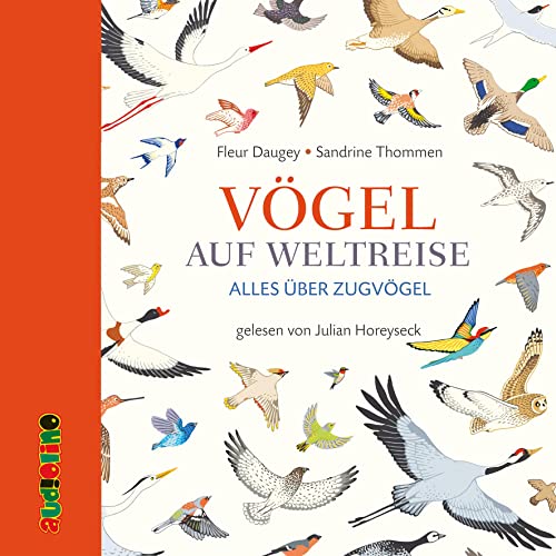 Vögel auf Weltreise: Alles über Zugvögel