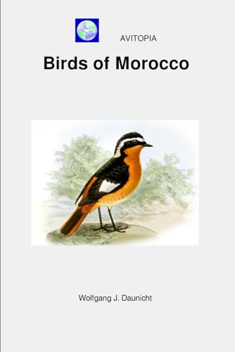 AVITOPIA - Birds of Morocco von Independently published