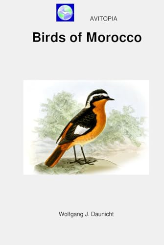 AVITOPIA - Birds of Morocco von Independently published