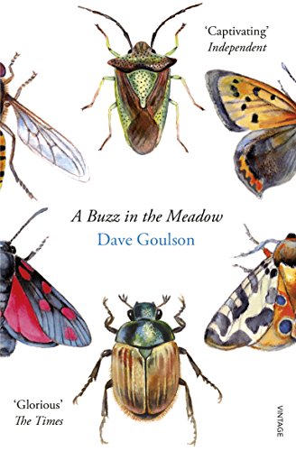 A Buzz in the Meadow: Dave Goulson