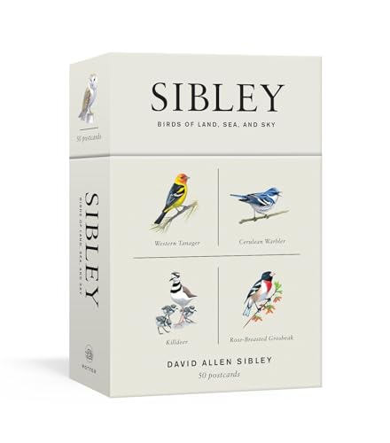 Sibley Birds of Land, Sea, and Sky: 50 Postcards