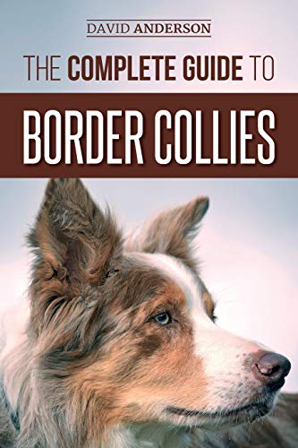 The Complete Guide to Border Collies: Training, teaching, feeding, raising, and loving your new Border Collie puppy The Complete Guide to Border Collies: Training, teaching, feeding, raising, and loving your new Border Collie puppy von CREATESPACE