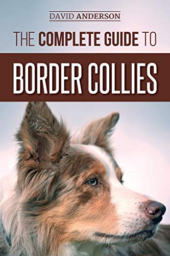 The Complete Guide to Border Collies: Training, teaching, feeding, raising, and loving your new Border Collie puppy