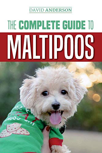 The Complete Guide to Maltipoos: Everything you need to know before getting your Maltipoo dog von Createspace Independent Publishing Platform