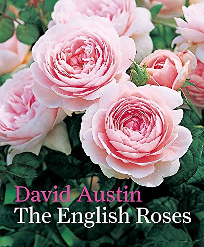 The English Roses von Conran