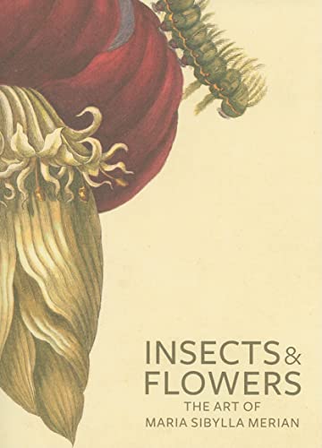 Insects & Flowers: The Art of Maria Sibylla Merian (Getty Publications –) von Getty Publications