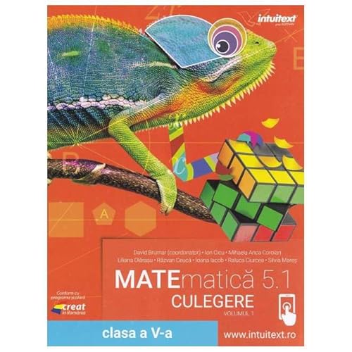 Matematica 5.1. Culegere. Clasa 5. Vol. 1 von Intuitext