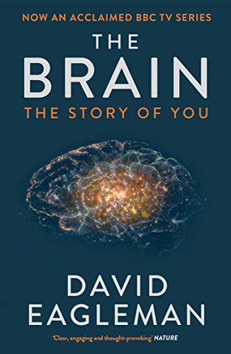 The Brain: The Story of You von Canongate Books Ltd.