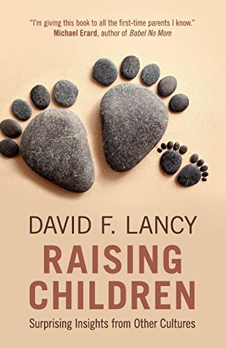 Raising Children: Surprising Insights From Other Cultures von Cambridge University Press