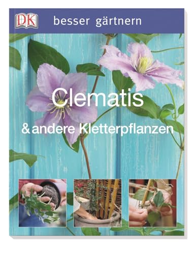 besser gärtnern - Clematis & andere Kletterpflanzen von Dorling Kindersley Verlag