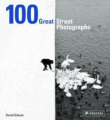 100 Great Street Photographs von Prestel Publishing