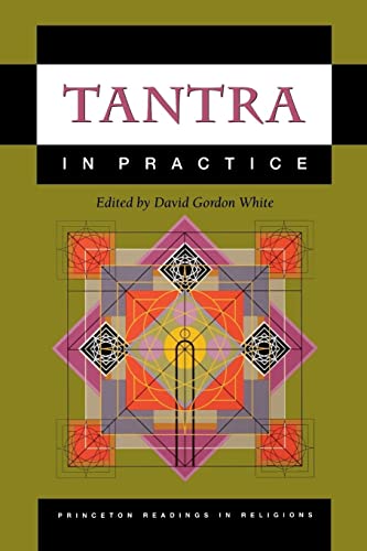Tantra in Practice (Princeton Readings in Religions) von Princeton University Press