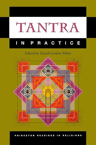 Tantra in Practice (Princeton Readings in Religions) von Princeton University Press