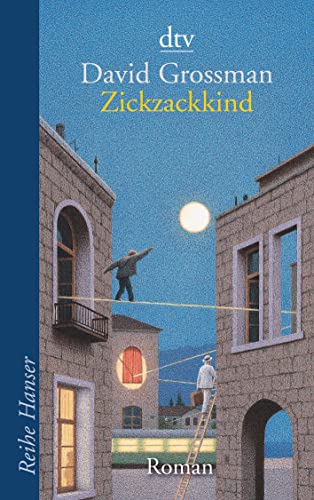 Zickzackkind (Reihe Hanser)