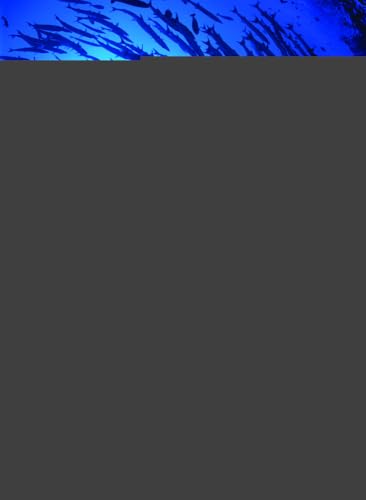 Corporate Finance (Scienze)