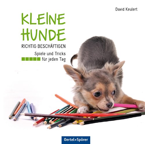 Kleine Hunde richtig beschäftigen: Spiele und Tricks für jeden Tag von Oertel Und Spoerer GmbH