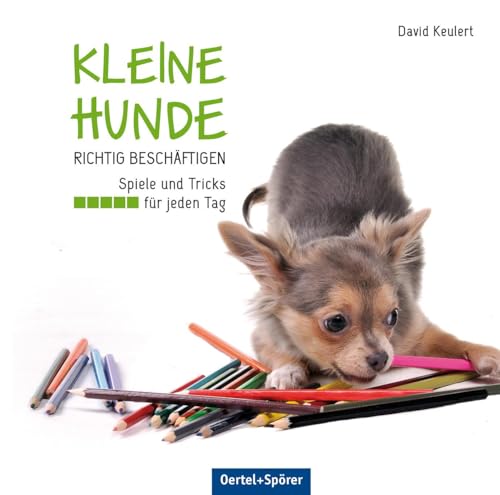 Kleine Hunde richtig beschäftigen: Spiele und Tricks für jeden Tag von OERTEL & SPÖRER