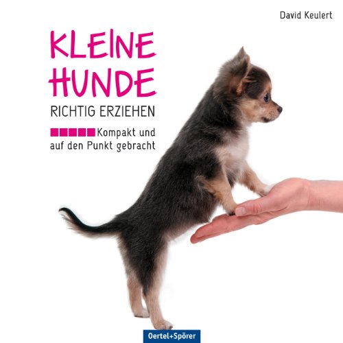 Kleine Hunde richtig erziehen: Kompakt und auf den Punkt gebracht von Oertel Und Spoerer GmbH