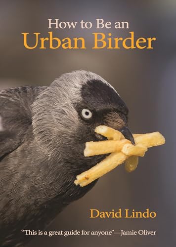 How to Be an Urban Birder (Wildguides)