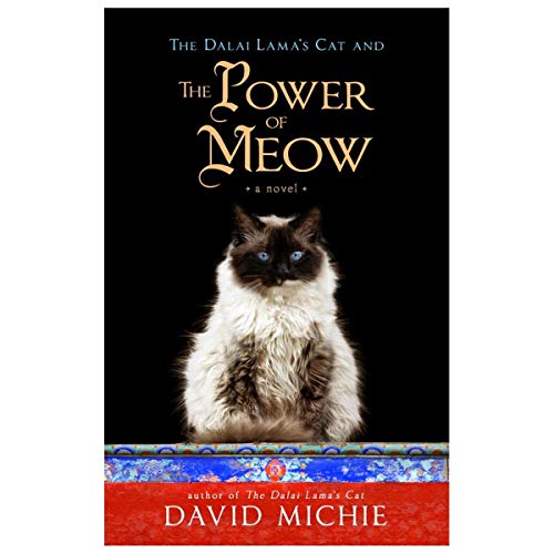The Power of Meow: A Novel von Hay House UK Ltd
