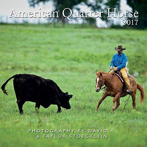 American Quarter Horse 2017 Calendar