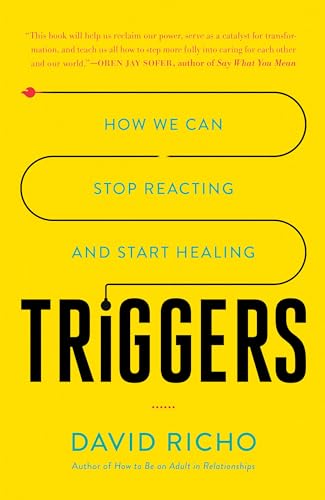 Triggers: How We Can Stop Reacting and Start Healing von Shambhala
