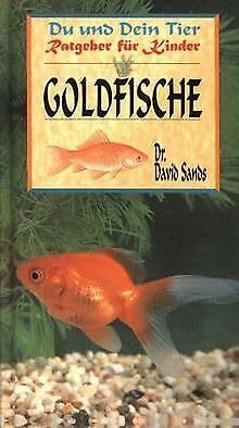 Goldfische Goldfische