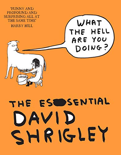 What The Hell Are You Doing?: The Essential David Shrigley von Canongate Books Ltd.
