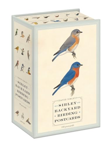 Sibley Backyard Birding Postcards: 100 Postcards (Sibley Birds) von Potter Style
