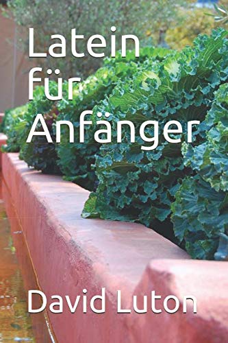 Latein für Anfänger