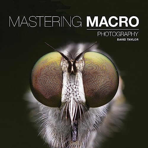 Mastering Macro Photography