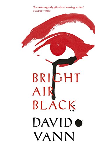 Bright Air Black: Vann David