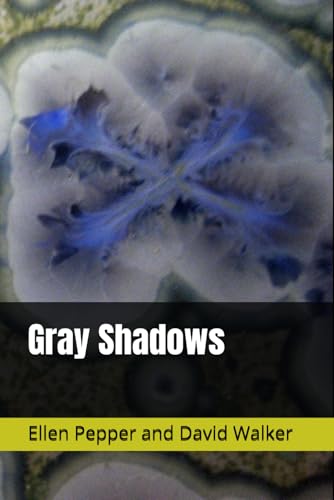 Gray Shadows von Independently published