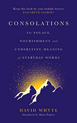 Consolations: The Solace, Nourishment and Underlying Meaning of Everyday Words von Canongate Books Ltd.