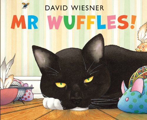 Mr Wuffles!: 1 von Andersen Press