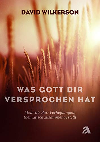 Was Gott dir versprochen hat: Mehr als 800 Verheißungen, thematisch zusammengestellt Was Gott dir versprochen hat: Mehr als 800 Verheißungen, thematisch zusammengestellt