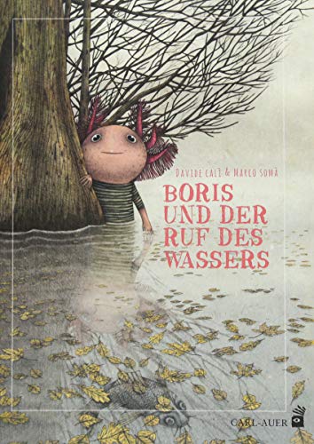 Boris und der Ruf des Wassers (Carl-Auer Kids) von Auer-System-Verlag, Carl