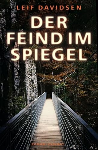 Der Feind im Spiegel: Roman von Paul Zsolnay Verlag